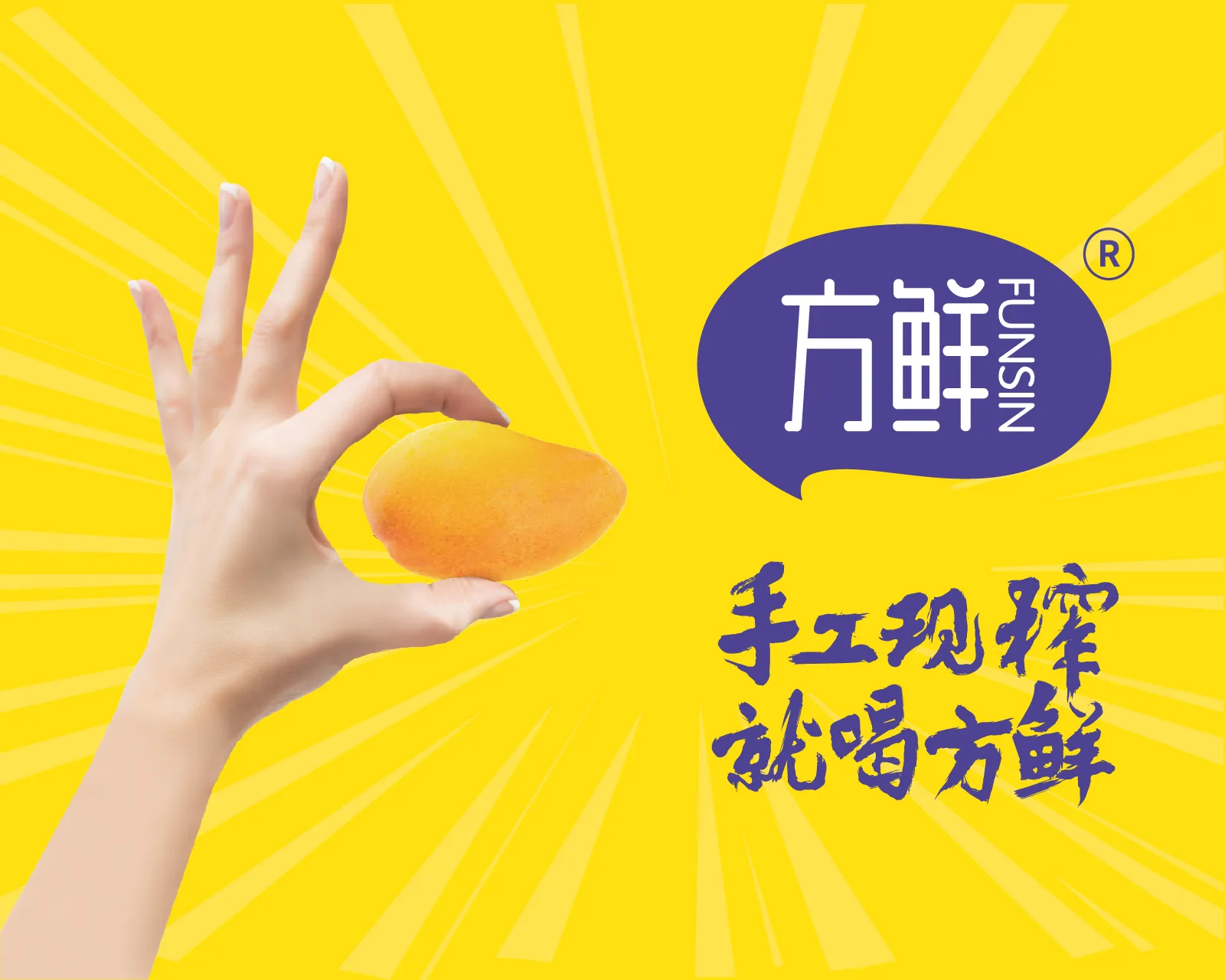 包参谋公开品牌项目的产品与品牌内容应用参考